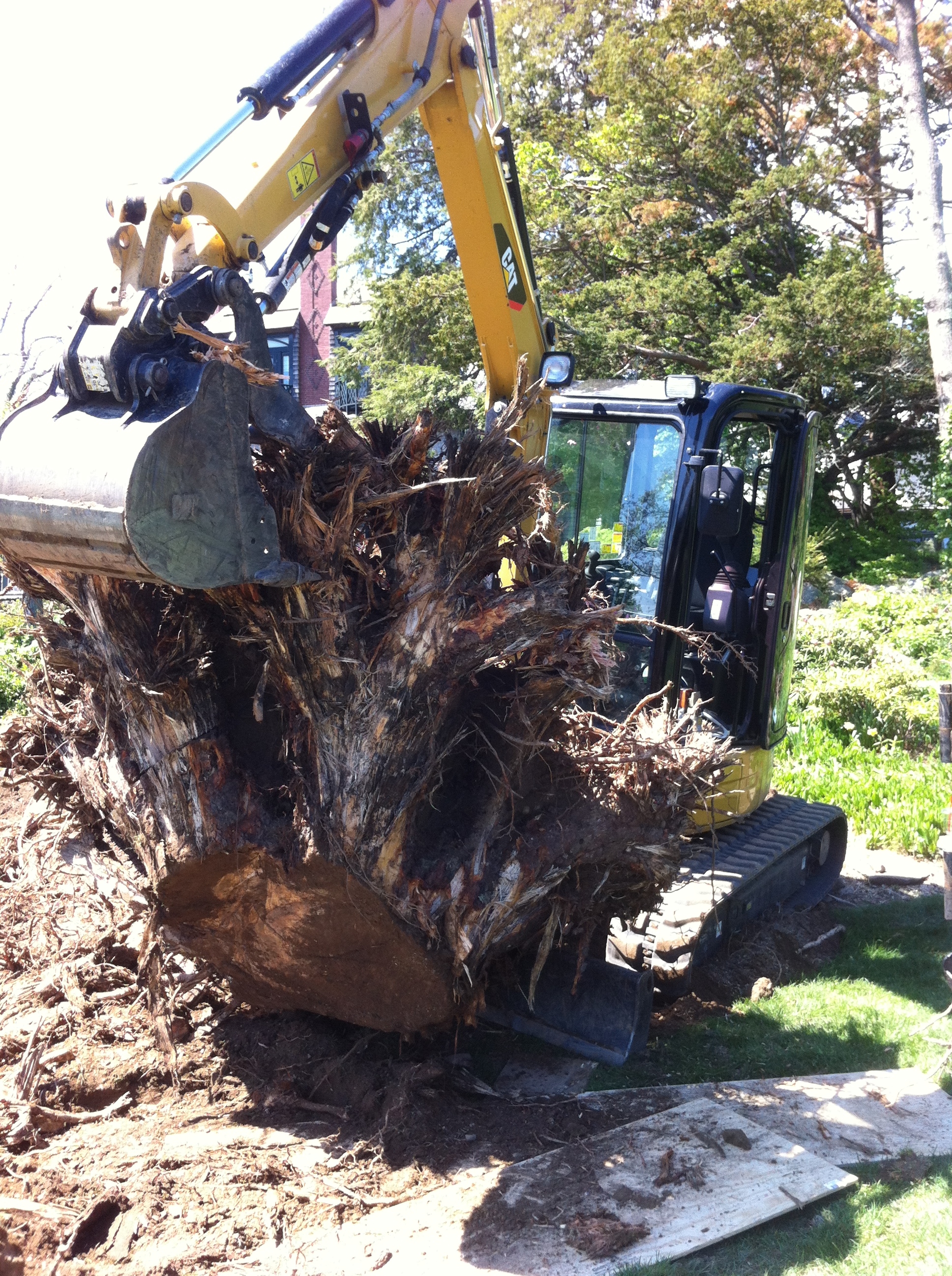 Land Clearing and Stump Removal