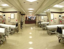 29. HCH Interventional Vascular Lab