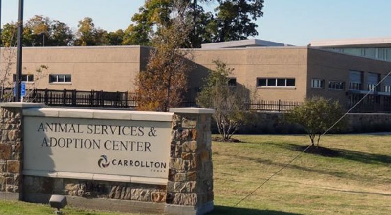 City Of Carrollton Animal Services And Adoption Center