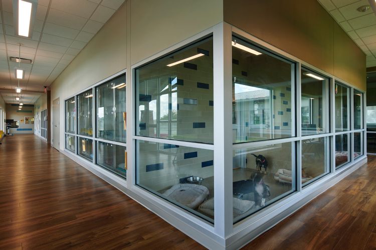 City of Grand Prairie Animal Shelter