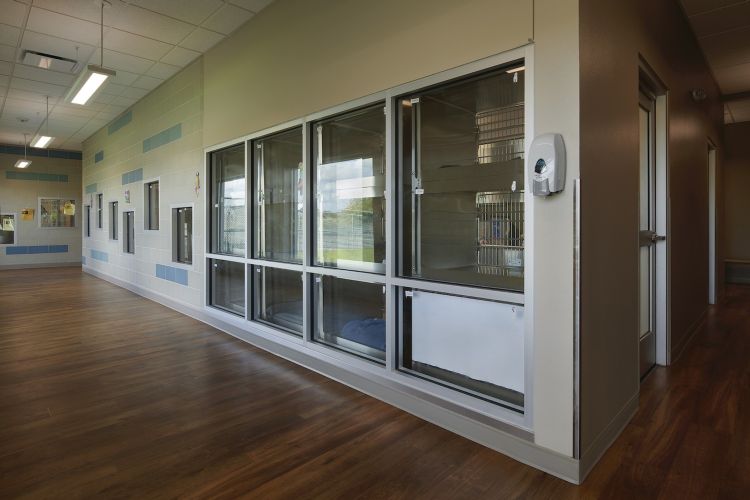 City of Grand Prairie Animal Shelter