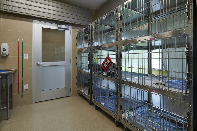 City of Grand Prairie Animal Shelter