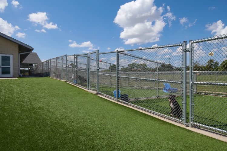 City of Grand Prairie Animal Shelter