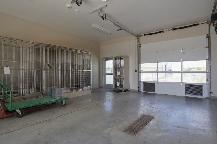 City of Grand Prairie Animal Shelter