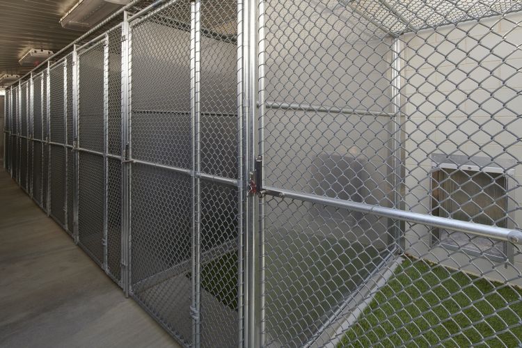 City of Grand Prairie Animal Shelter