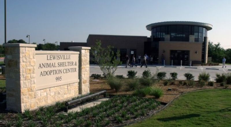 City Of Lewisville Animal Adoption Center