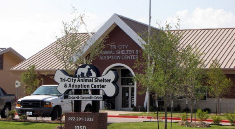 Tri City Animal Shelter And Adoption Center