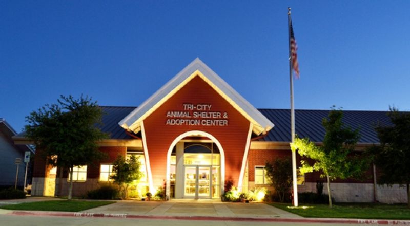 Tri City Animal Shelter And Adoption Center