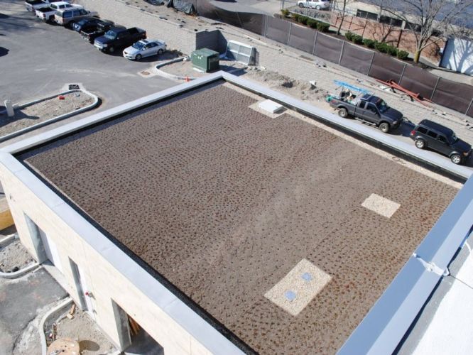 Area B2 Police Station