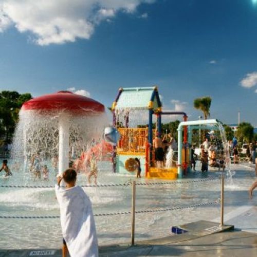 Selby Aquatic Center Sarasota Ymca by in Sarasota, FL ProView