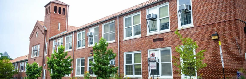 School / College / University