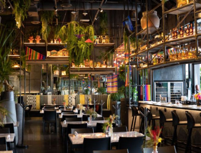 CVI.CHE 105 Dadeland