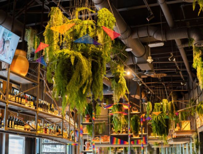 CVI.CHE 105 Dadeland