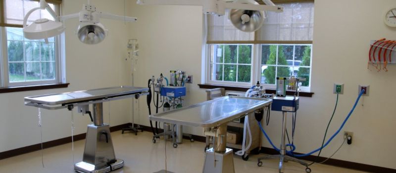 Highland Animal Hospital