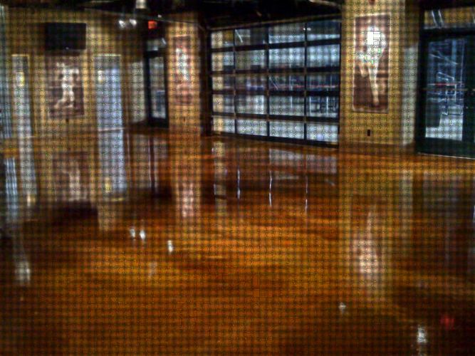 Comerica Park, "The Jungle"