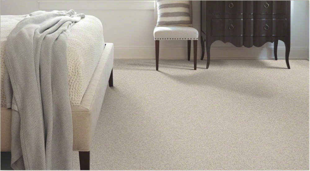 Our Services & Projects 