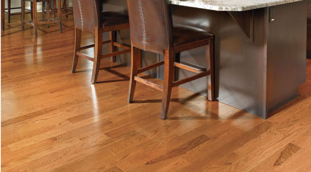 Our Services & Projects 