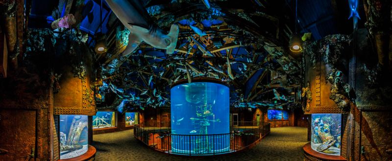 Wonders of Wildlife National Museum & Aquarium by in Springfield , MI ...