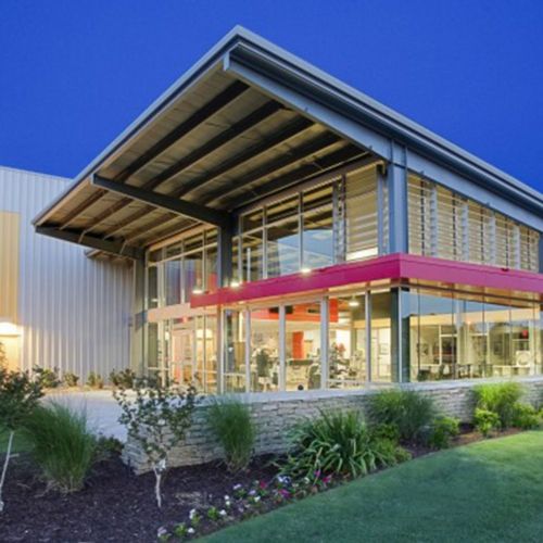 Riggs Cat &ndash; Texarkana