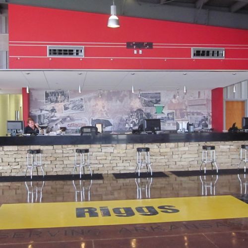 Riggs Cat &ndash; Texarkana