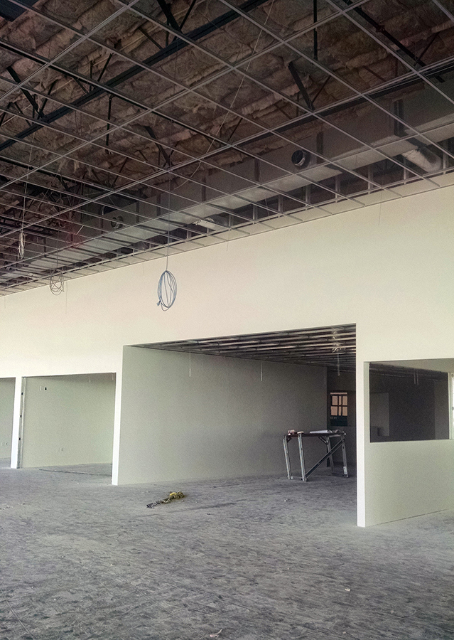 Action Ceiling Action Ceiling Systems, L.L.C. - Avondale, Arizona | ProView