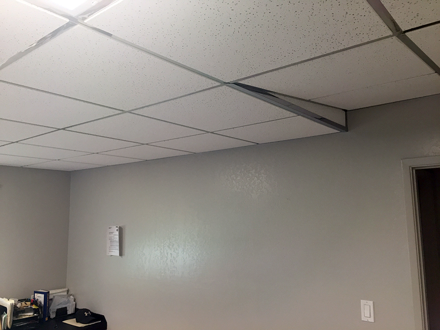 Action Ceiling Action Ceiling Systems, L.L.C. - Avondale, Arizona | ProView