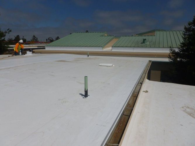 Martin Luther King Elementary School Alisal USD