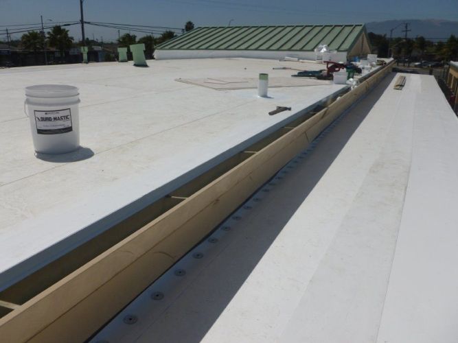 Martin Luther King Elementary School Alisal USD