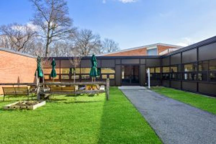 Developmental Disabilities Institute, Inc.