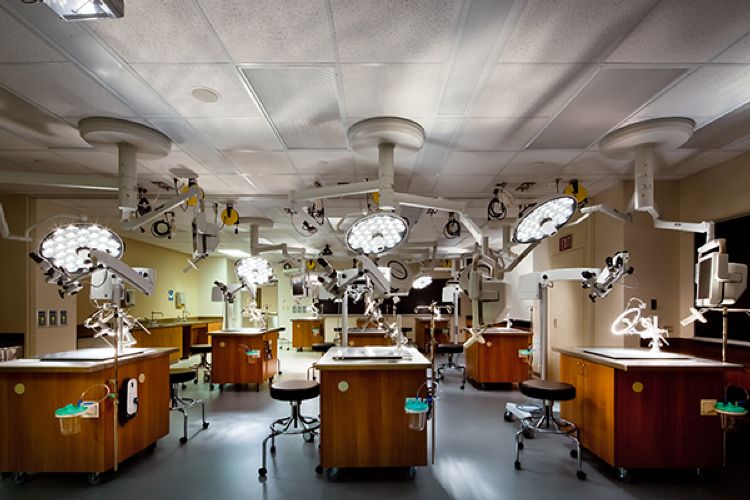 Baylor College of Medicine Gross Anatomy Lab, Morgue, Classroom