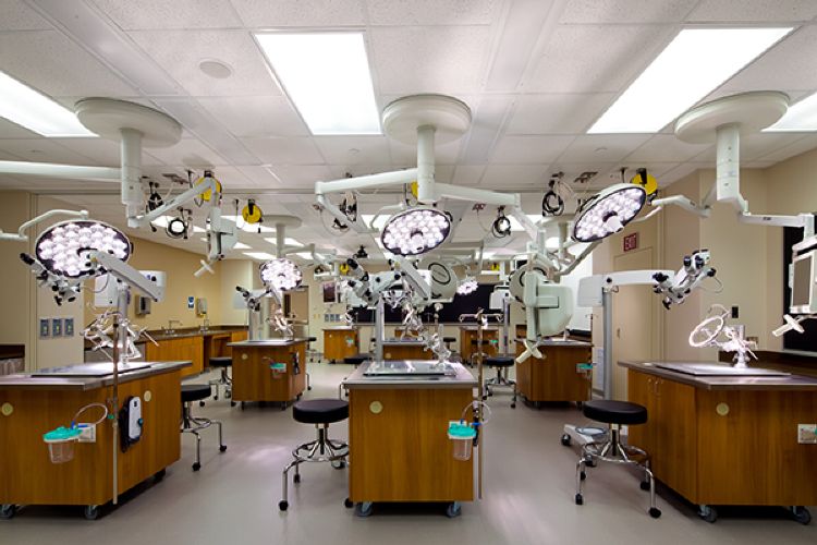 Baylor College of Medicine Gross Anatomy Lab, Morgue, Classroom