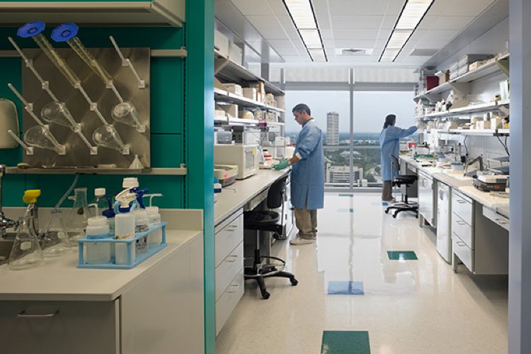 Texas Children&rsquo;s Hospital Feigin Center and Vertical Expansion