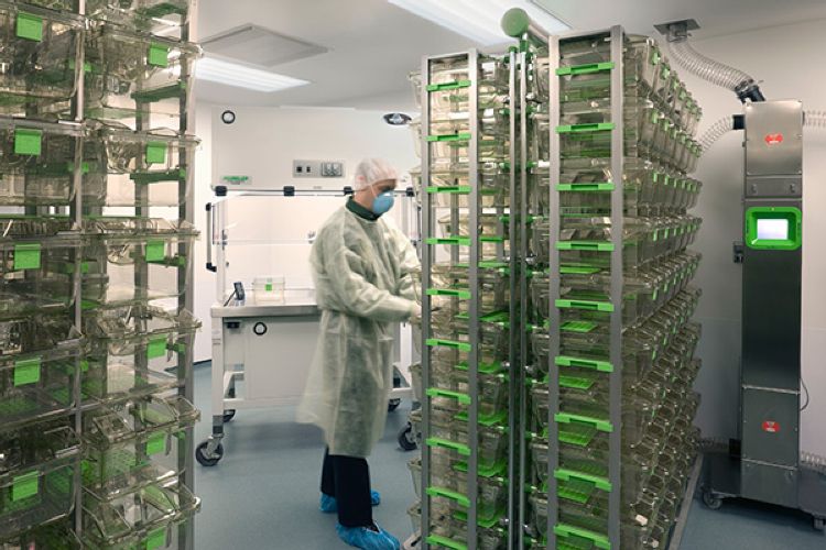 Texas Children&rsquo;s Hospital Feigin Center and Vertical Expansion