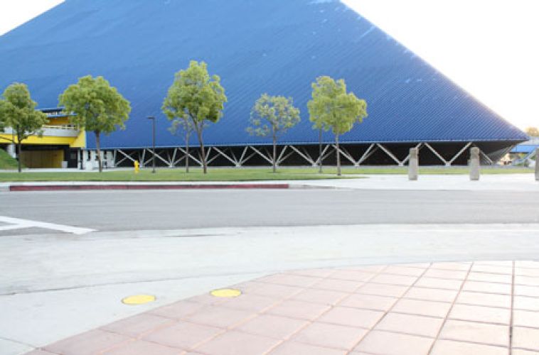 California State Univserity 