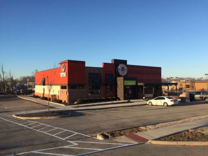 Buffalo Wing & Rings 