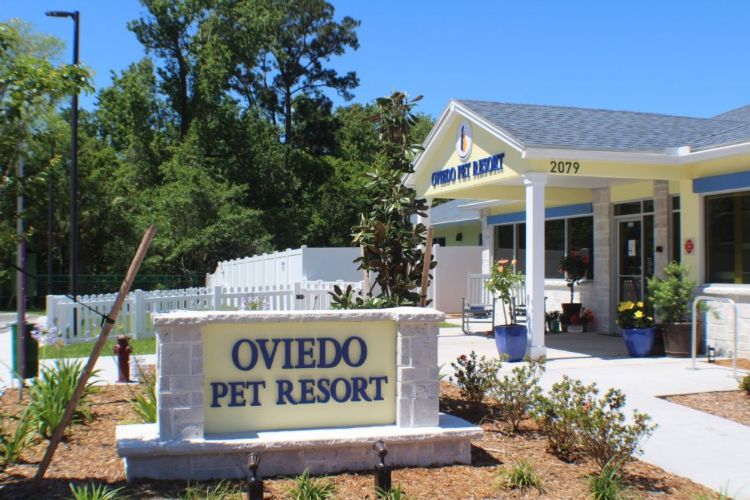 Oviedo Pet Resort