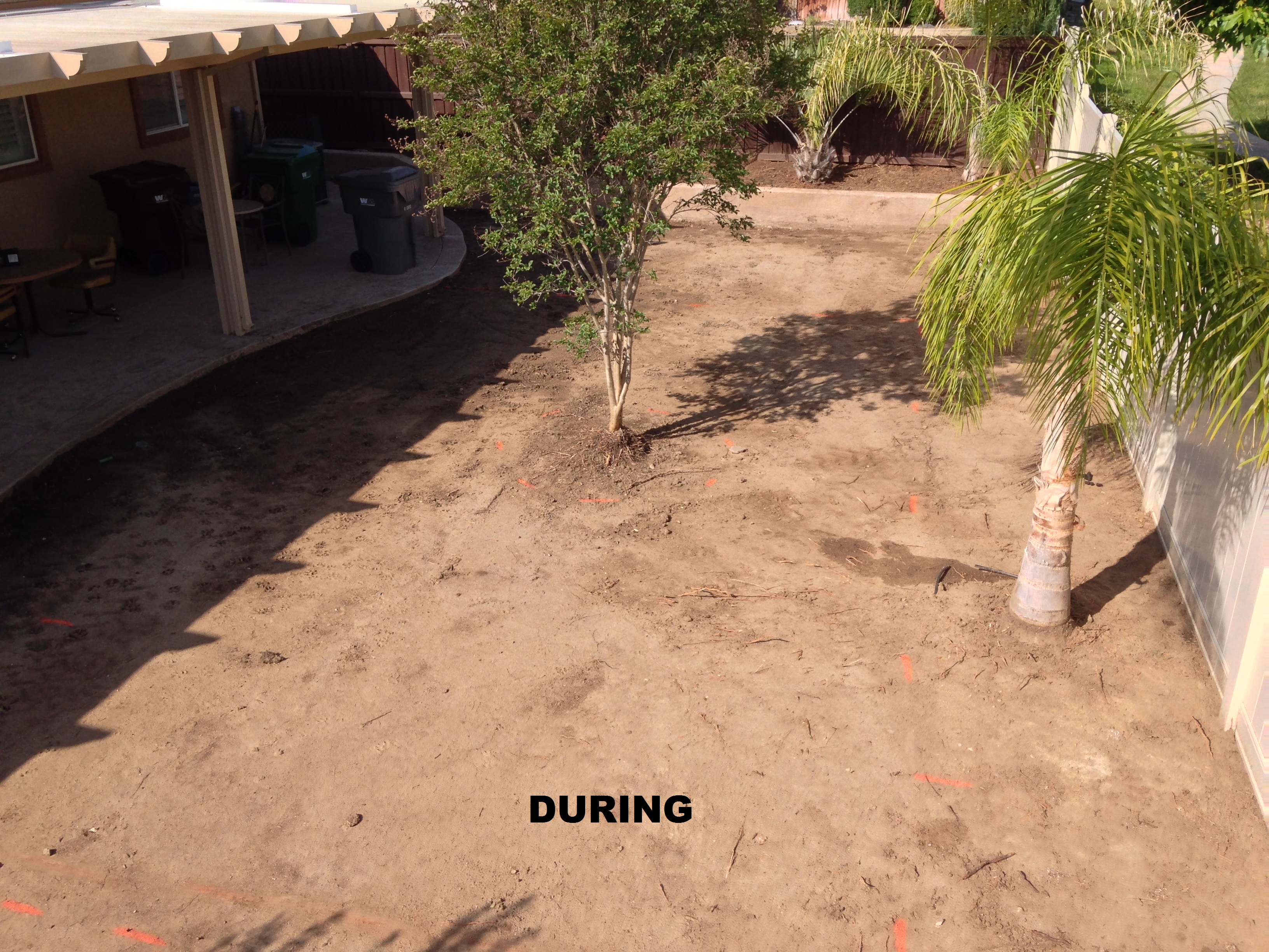 Yard Remodel in Menifee, Ca.