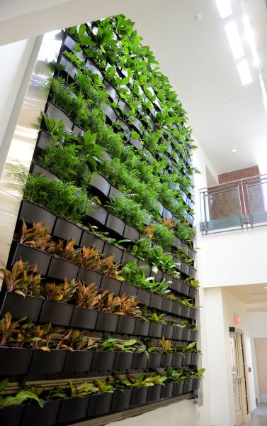 Bucknell University - Academic East Building