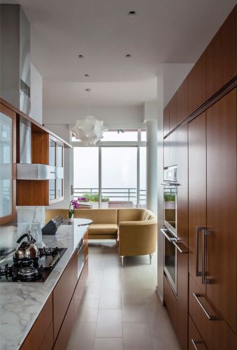 Upper East Side Penthouse