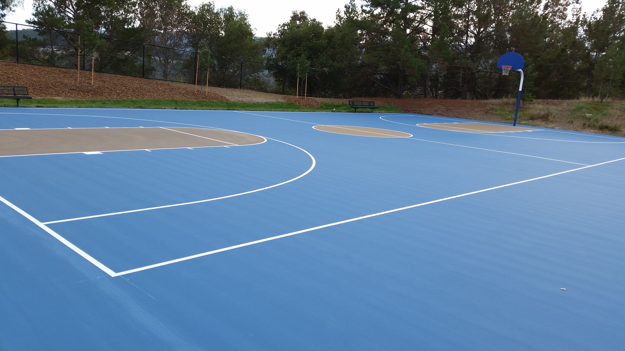 Crestview Park in San Carlos basketball court