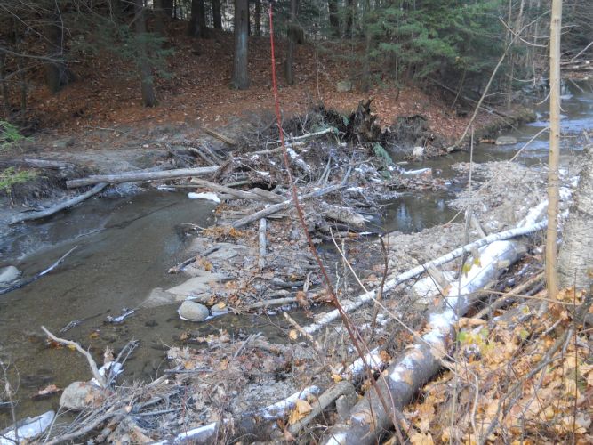 Hart Brook Sewer Stabilization Project