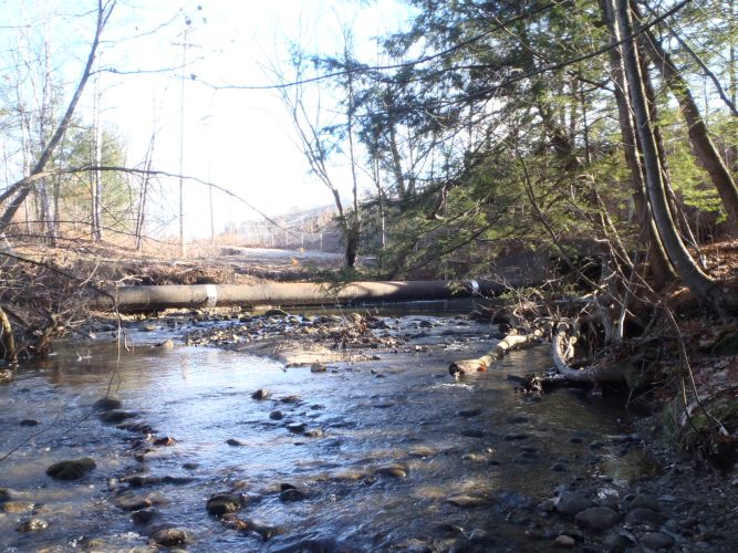 Hart Brook Sewer Stabilization Project