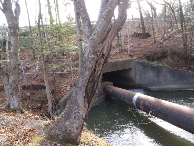 Hart Brook Sewer Stabilization Project