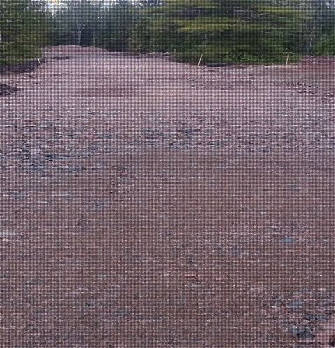 Schoodic Woods 150 Acre Campground and Recreational Facility