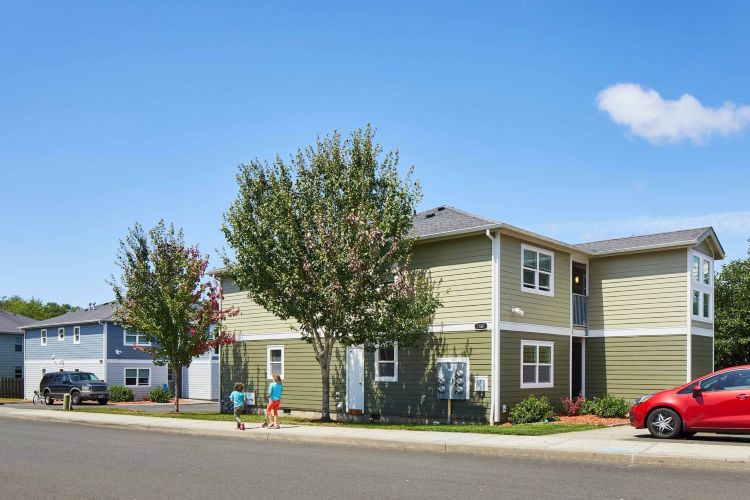 Noha Warrenton Renovations