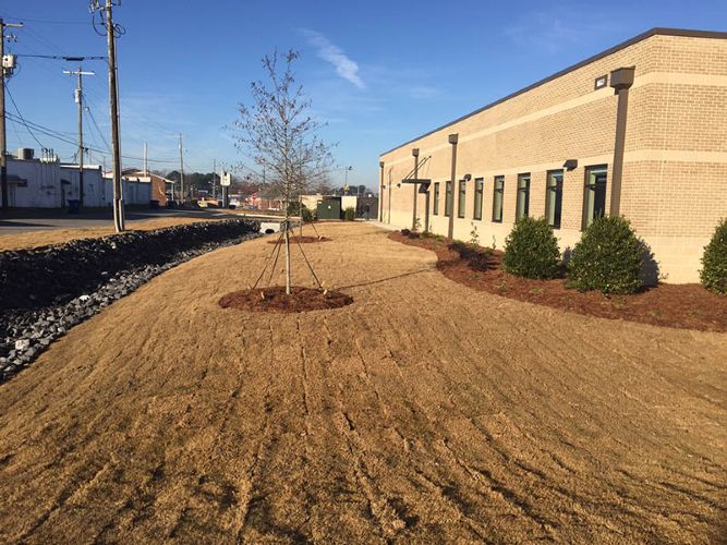 Fresenius Medical Care