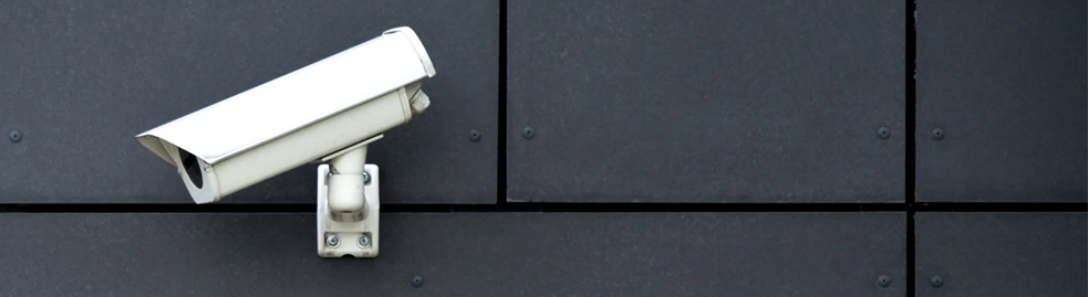 Security Services & Video Monitoring
