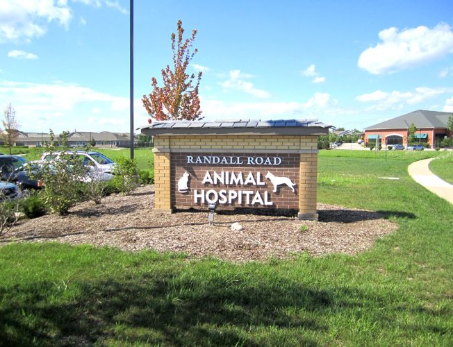 Randall Road Animal Hospital by in Crystal Lake, IL ProView