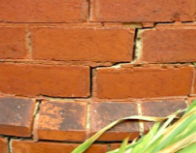 Building Envelope Analysis & Structural Investigation