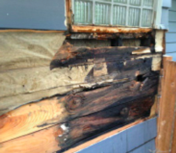 Building Envelope Analysis & Structural Investigation